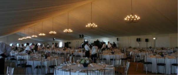picture6